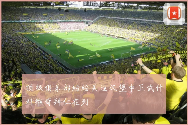 顶级俱乐部纷纷关注汉堡中卫武什科维奇拜仁在列