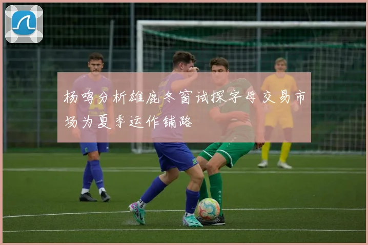 杨鸣分析雄鹿冬窗试探字母交易市场为夏季运作铺路