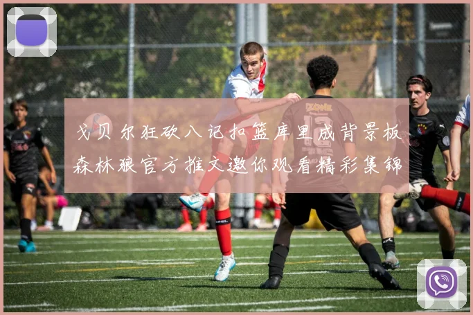 戈贝尔狂砍八记扣篮库里成背景板森林狼官方推文邀你观看精彩集锦