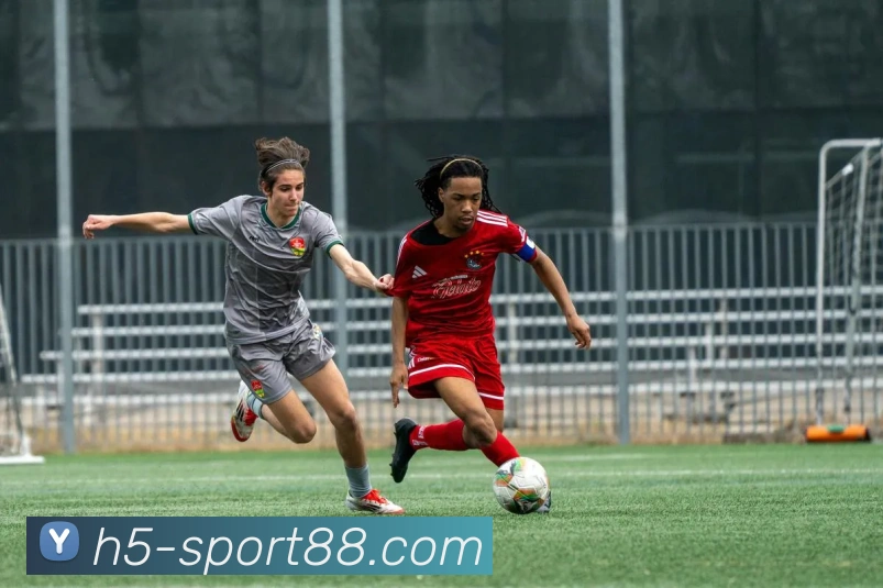 88体育APP 封面图